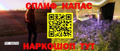 ECSTASY Новодвинск