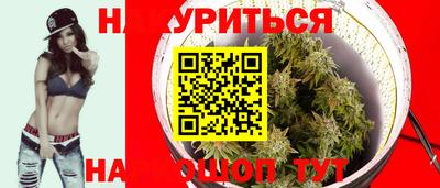 ECSTASY Новодвинск
